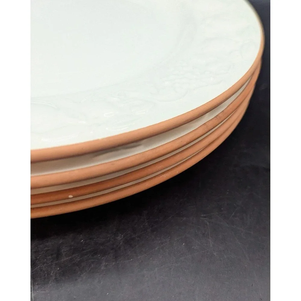 Set/4 Pier 1 Italian Pottery White Embossed Fruit Terra Cotta Edge Dinner Plate